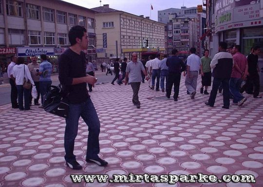 deniz-yildizi-parke-tasi-001