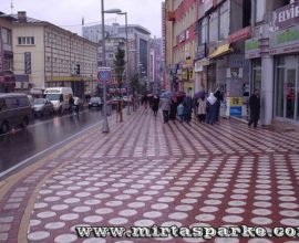 deniz-yildizi-parke-tasi-002