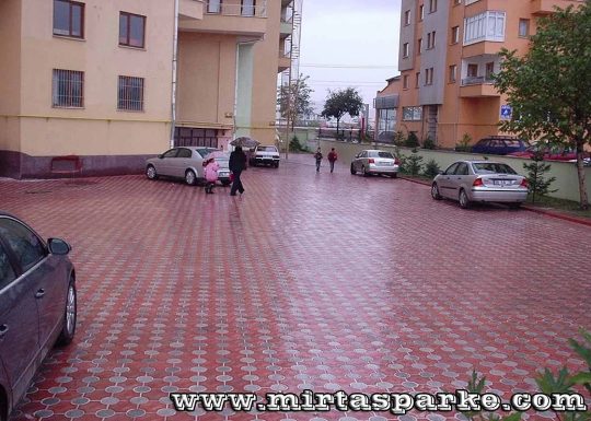 deniz-yildizi-parke-tasi-004