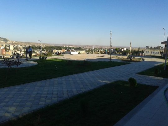 deniz-yildizi-parke-tasi-005
