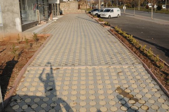deniz-yildizi-parke-tasi-008