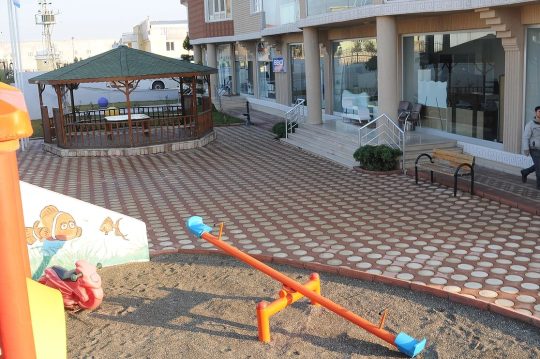 deniz-yildizi-parke-tasi-009