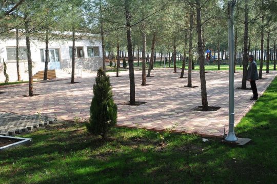 misafir-parke-tasi-005